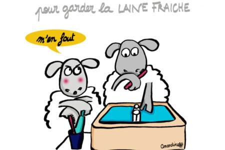 Laine et haleine - Illustration-by Drawingsandthings