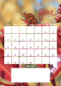Calendrier Février 2019 - Téléchargement gratuit sur Drawingsandthings - Freebie / Freedownload