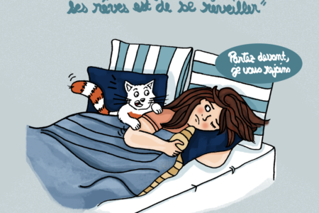 citation-realiser-ses-reves-paul-valery-Illustration-by-Drawingsandthings