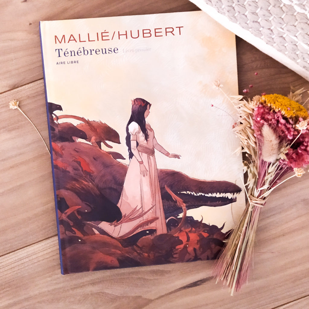 http://www.drawingsandthings.com/wp-content/uploads/2021/11/Drawingsandthings-Tenebreuse-Mallie-Hubert-Aire-Libre-Couverture.jpg