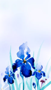 Le fond d'écran du mois de février est disponible gratuitement sur le blog de Drawings and things • Des iris à l'aquarelle sur des tons violets, bleus et rose