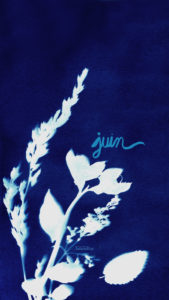 Drawingsandthings-Calendrier-Juin-2023-Phone-Iphone HD Fond d'écran pour téléphone en cyanotype gratuit