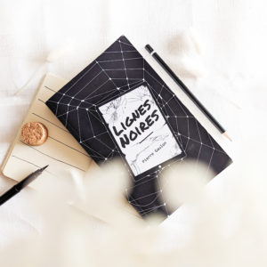 Couverture de Lignes noires, un thriller intense de Pierre Gaulon, où un ebook mystérieux devient le centre d’une enquête palpitante. L’image évoque l’intrigue et le côté technologique du roman.