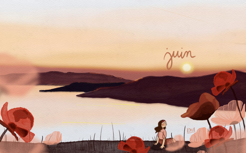 Illustration en format paysage pour écran d’ordinateur, représentant un coucher de soleil sur la mer, des fleurs rouges et une ambiance paisible inspirée par la mer