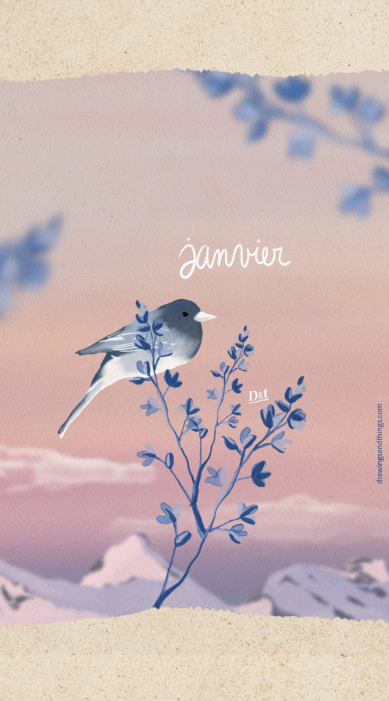 Illustration en format portrait pour écran de téléphone, représentant un petit oiseau sur une branche à la montagne. Illustré sur Procreate par Drawings And Things