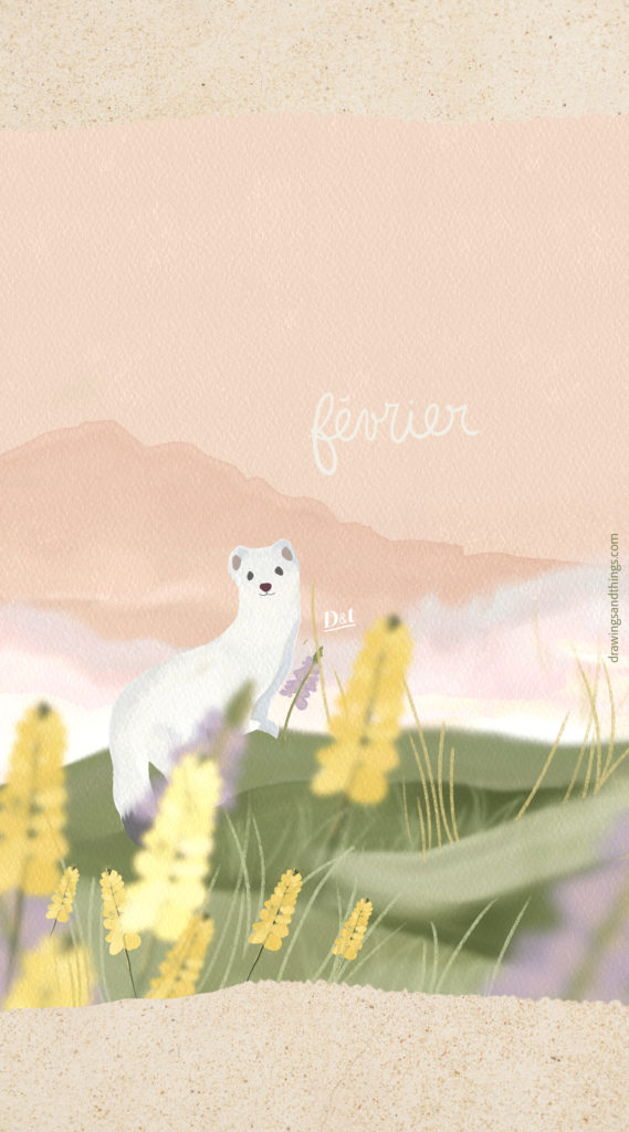 Illustration en format portrait pour écran de téléphone, représentant une hermine à la montagne avec les premières fleurs jaunes. Illustré sur Procreate par Drawings And Things