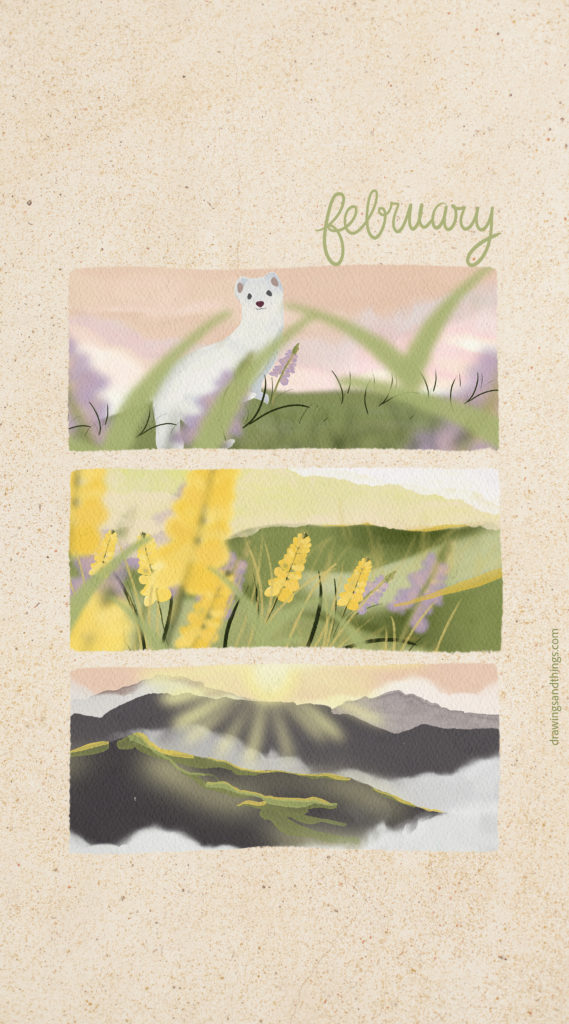 Illustration en format portrait pour écran de téléphone, représentant une série d'illustrations autour de l'hermine, la montagne. Illustré sur Procreate par Drawings And Things