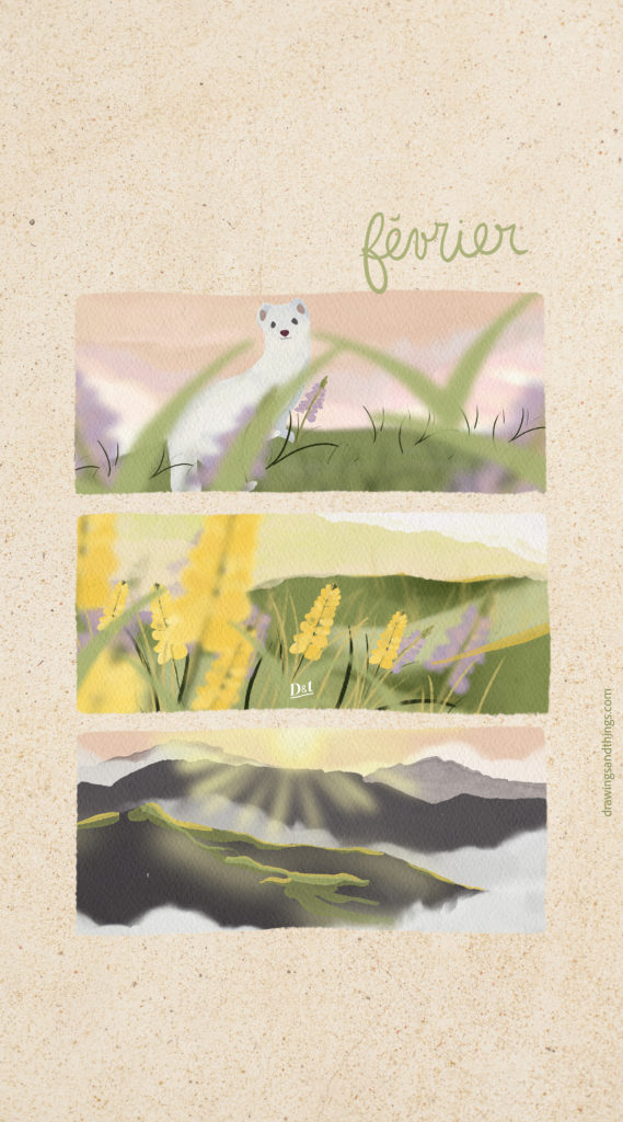 Illustration en format portrait pour écran de téléphone, représentant une série d'illustrations autour de l'hermine, la montagne. Illustré sur Procreate par Drawings And Things