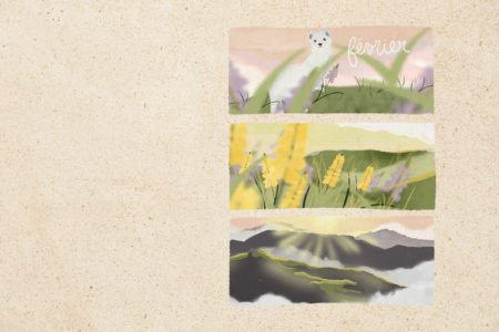 Illustration en format paysage pour écran de votre ordinateur, représentant une série d'illustrations sur la montagne, les fleurs jaunes et une hermine. Illustré sur Procreate par Drawings And Things.