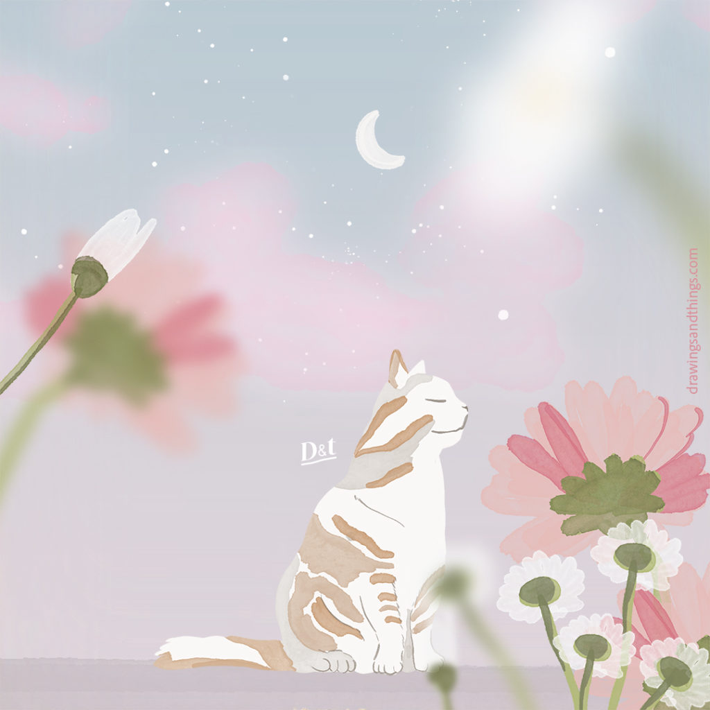 Illustration en format carré pour votre montre connectée, représentant une série d'illustrations autour du chat, des fleurs et du printemps. Illustré sur Procreate par Drawings And Things