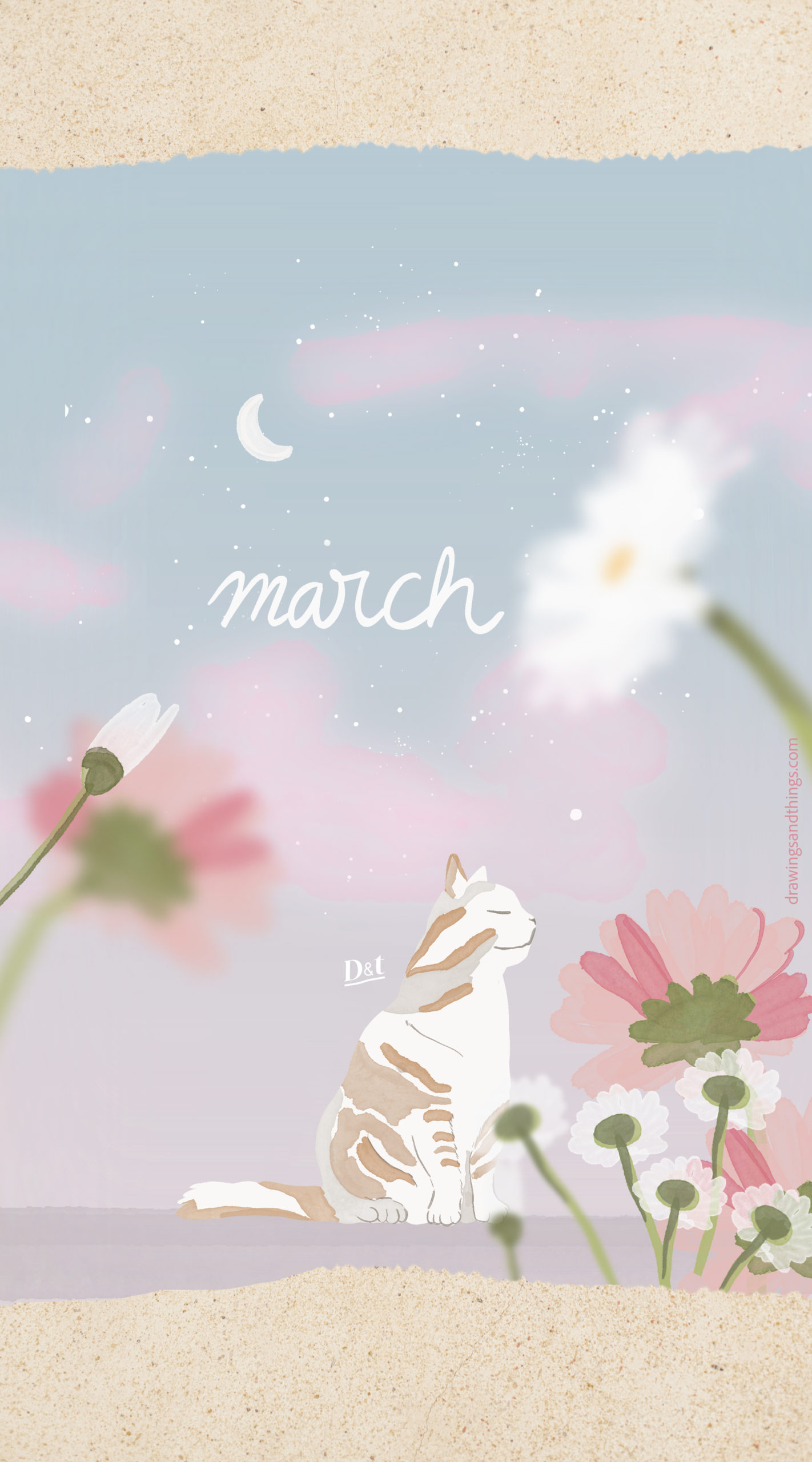 Illustration en format portrait pour écran de téléphone, représentant un chat entouré de marguerites au petit matin. Illustré sur Procreate par Drawings And Things - Version Anglaise