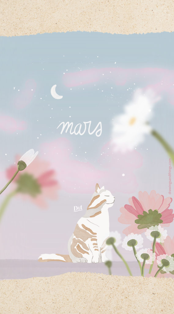 Illustration en format portrait pour écran de téléphone, représentant un chat entouré de marguerites au petit matin. Illustré sur Procreate par Drawings And Things - Version Française