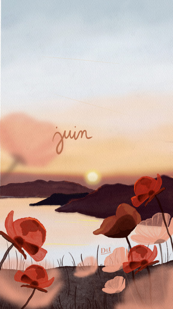 Fond d’écran mobile illustré d’un bord de mer au coucher du soleil, avec des coquelicots rouges en premier plan. Illustration poétique inspirée par l’été.