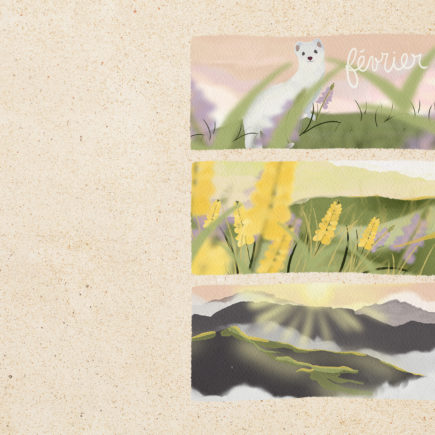 Illustration en format paysage pour écran de votre ordinateur, représentant une série d'illustrations sur la montagne, les fleurs jaunes et une hermine. Illustré sur Procreate par Drawings And Things.